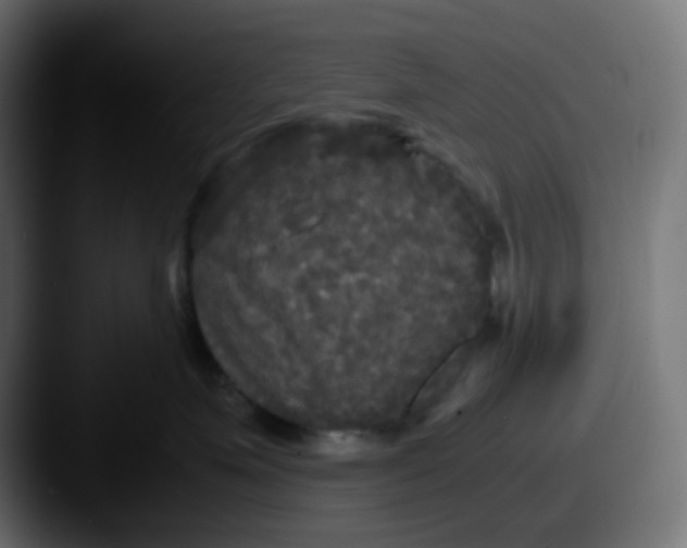 X0000087540623200705181049