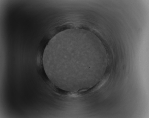 X0000087540624200705181049