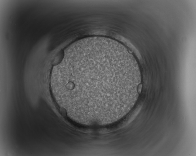 X0000087540625200705181049