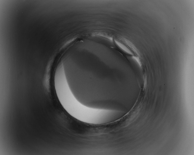 X0000087540627200705181049