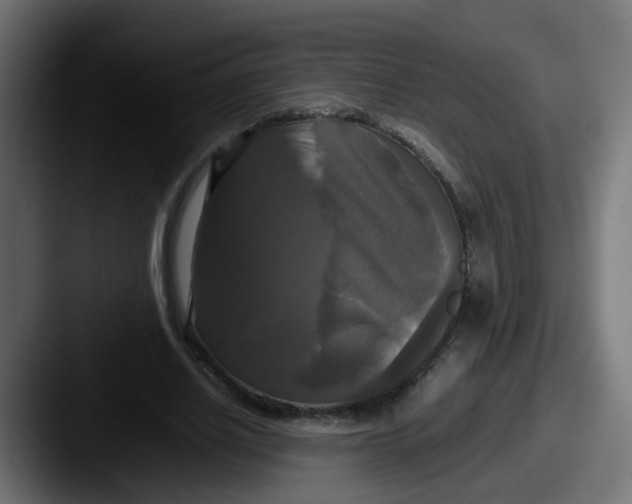 X0000087540630200705181049