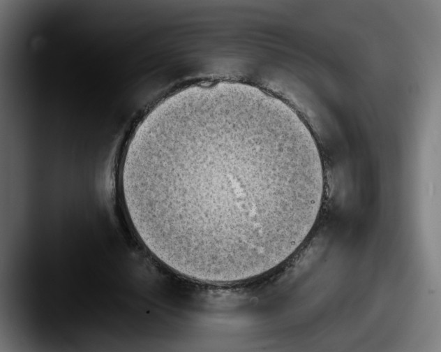 X0000087540632200705181049