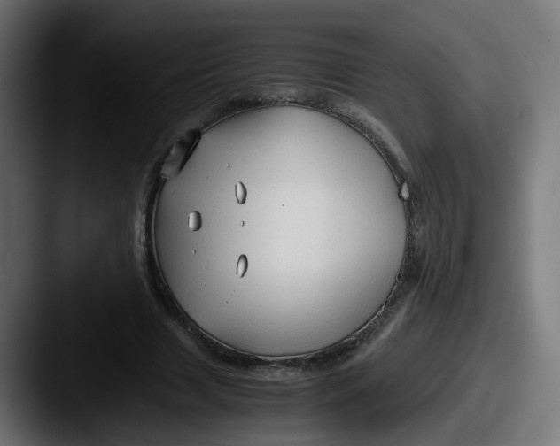 X0000087540633200705181049