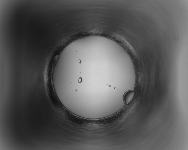 X0000087540635200705181049