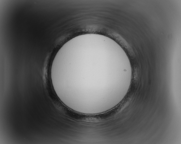 X0000087540636200705181049