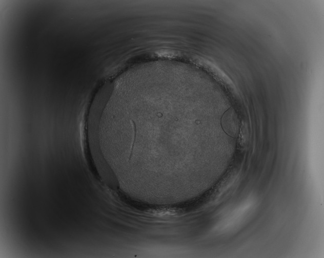 X0000087540639200705181049