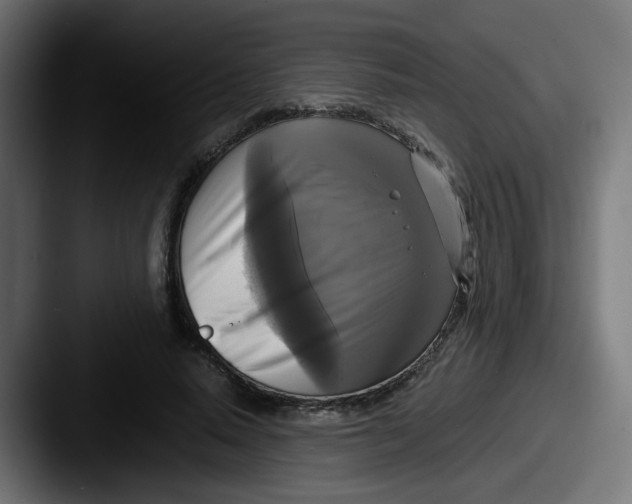 X0000087540640200705181049