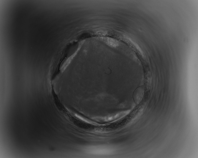 X0000087540641200705181049