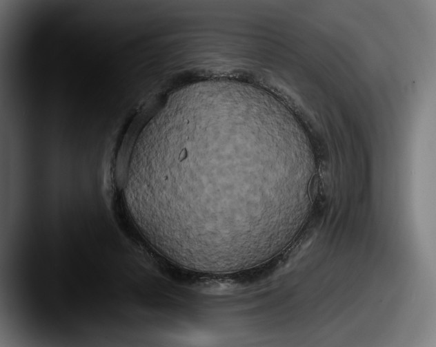 X0000087540642200705181049