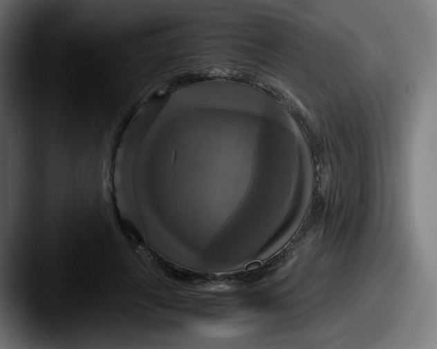 X0000087540643200705181049