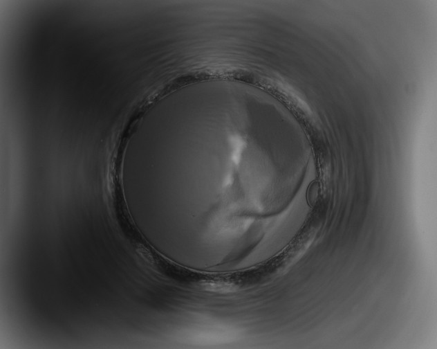 X0000087540644200705181049