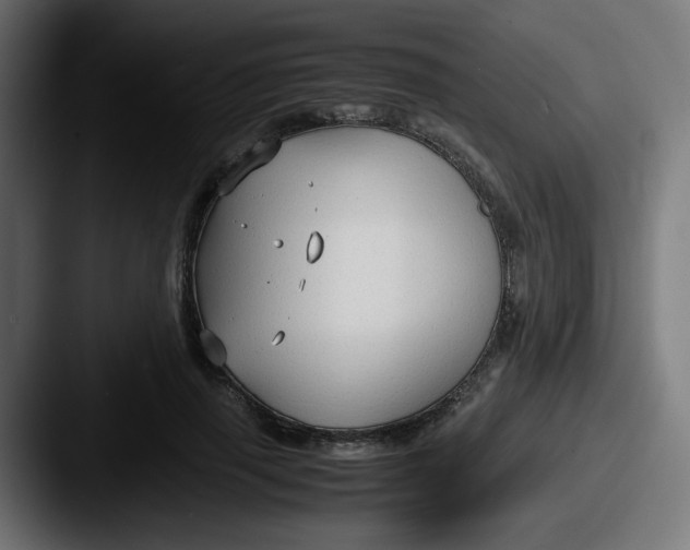 X0000087540645200705181049