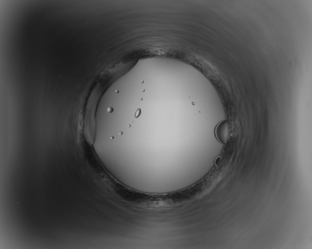 X0000087540646200705181049