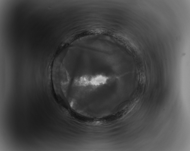 X0000087540647200705181049