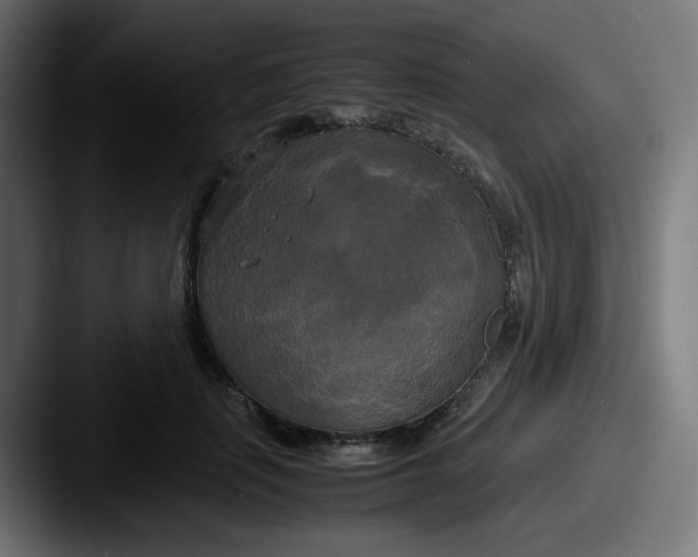 X0000087540651200705181049