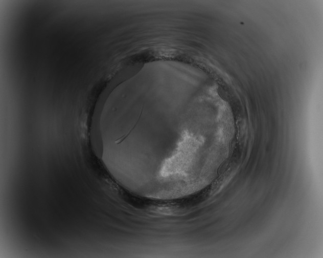 X0000087540655200705181049