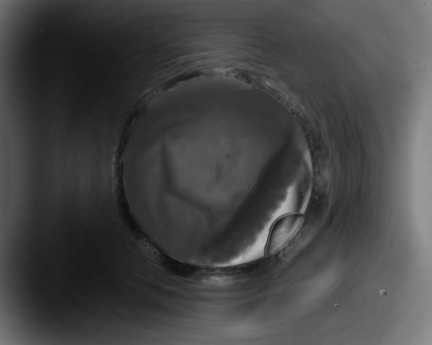 X0000087540658200705181049