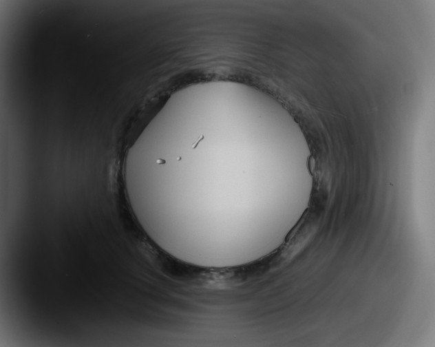 X0000087540660200705181049