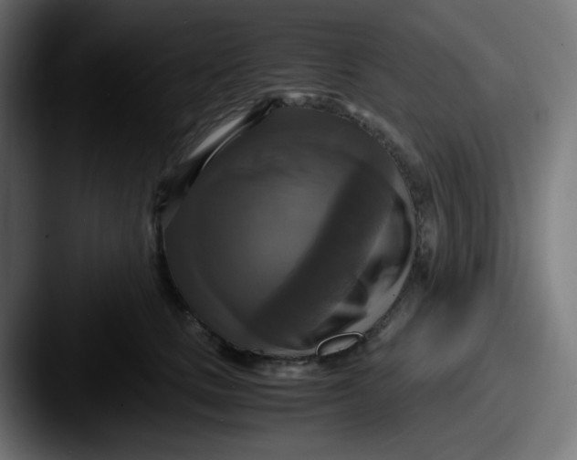 X0000087540661200705181049