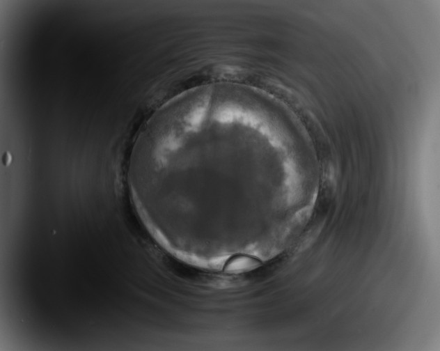 X0000087540663200705181049