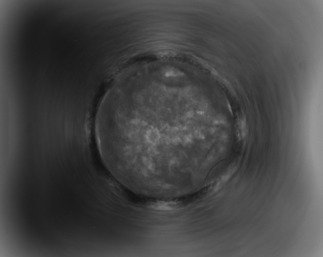 X0000087540664200705181049