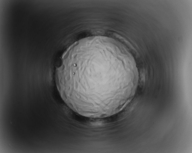 X0000087540667200705181049