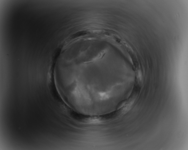 X0000087540668200705181049