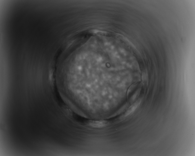 X0000087540671200705181049