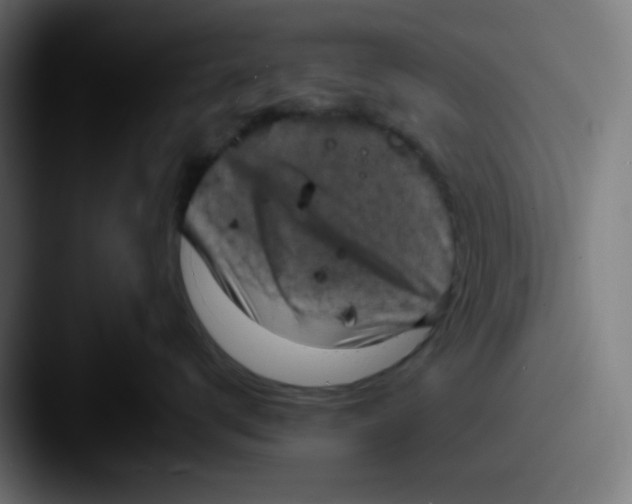 X0000087540672200705181049