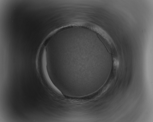 X0000087540676200705181049