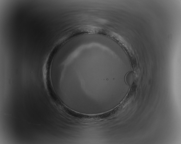 X0000087540679200705181049