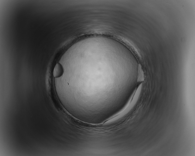 X0000087540680200705181049