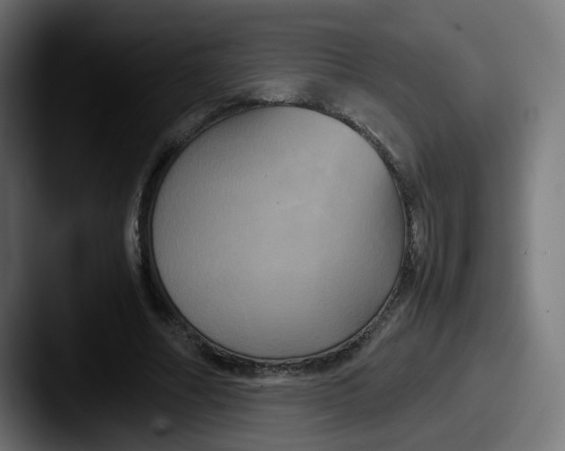 X0000087540682200705181049