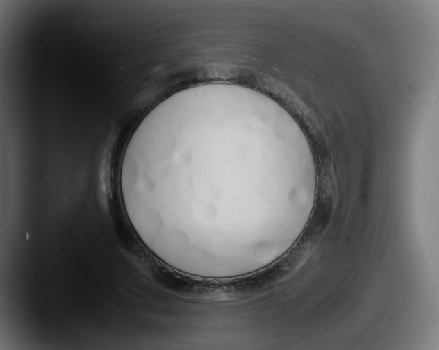 X0000087540683200705181049