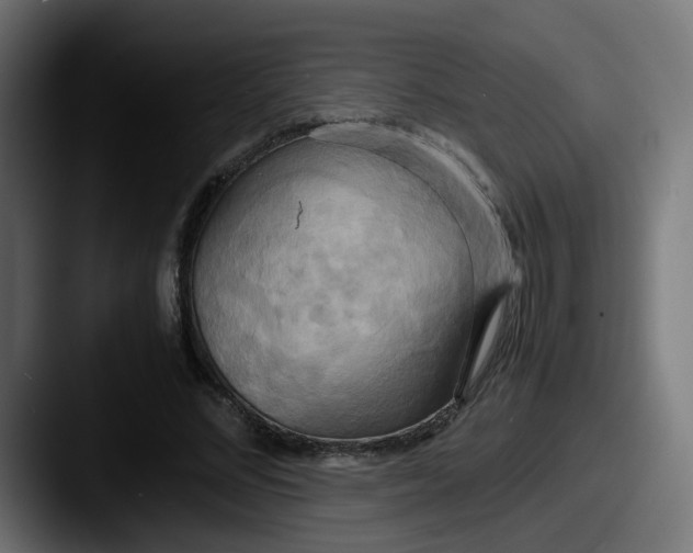 X0000087540684200705181049