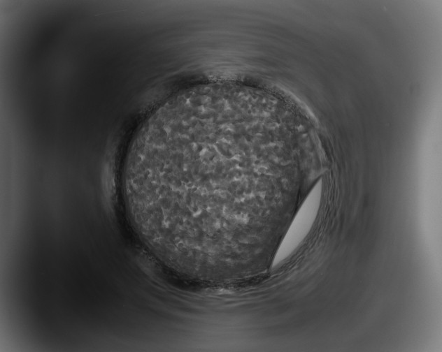 X0000087540687200705181049