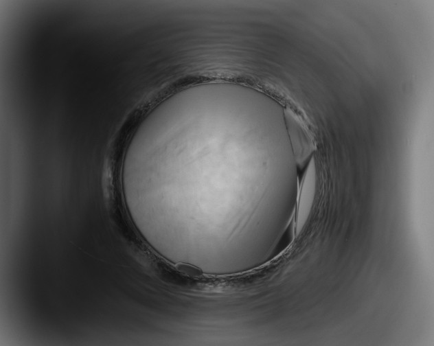 X0000087540688200705181049