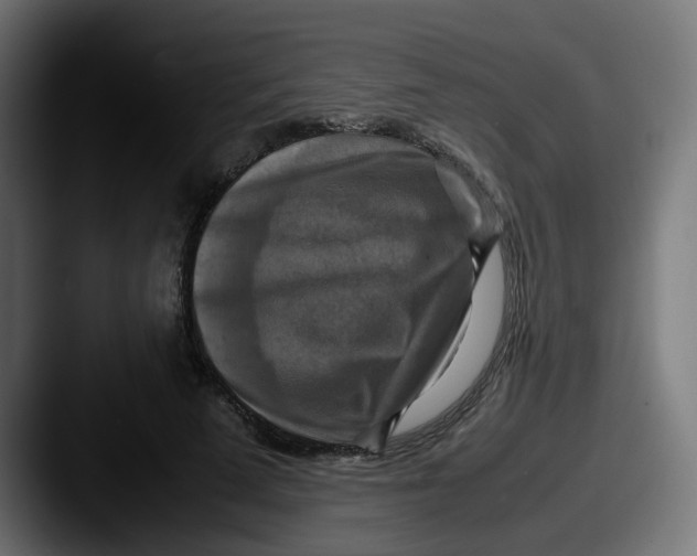 X0000087540689200705181049