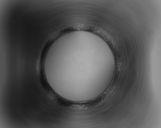 X0000087540690200705181049