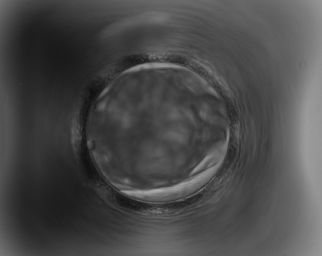 X0000087540691200705181049