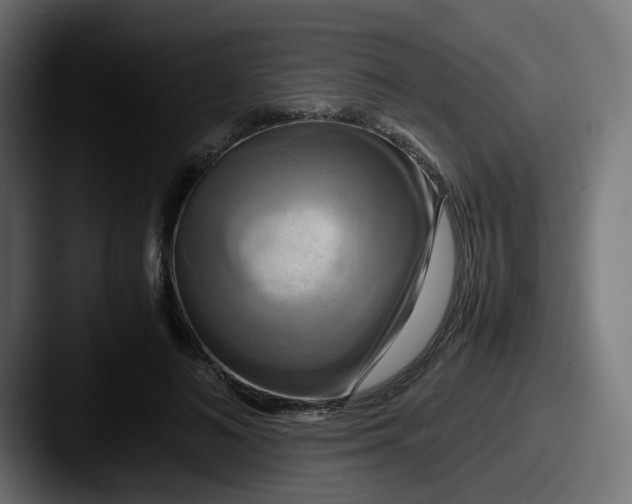 X0000087540692200705181049