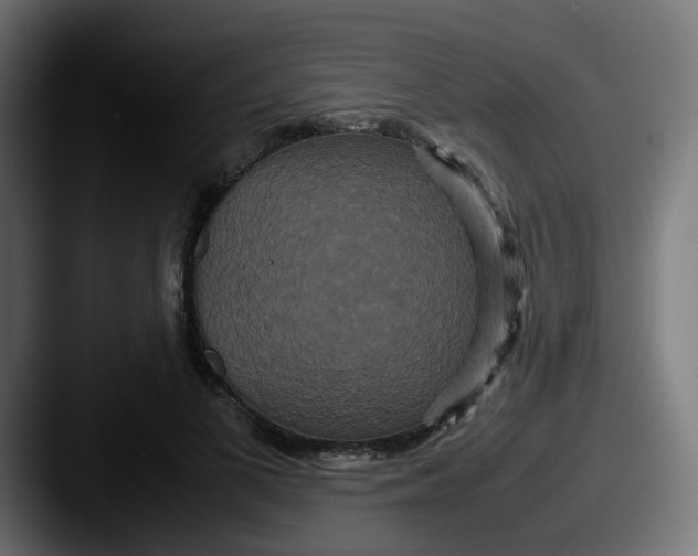 X0000087540693200705181049