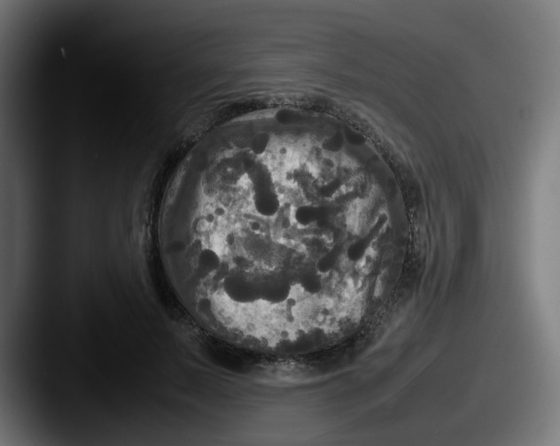 X0000087540695200705181049