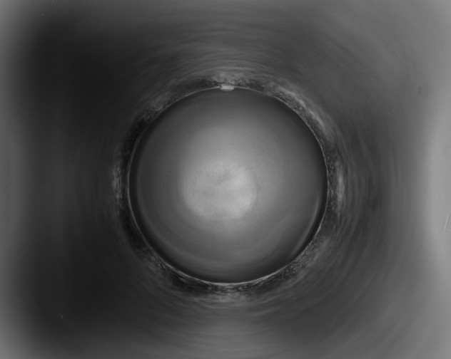 X0000087540696200705181049