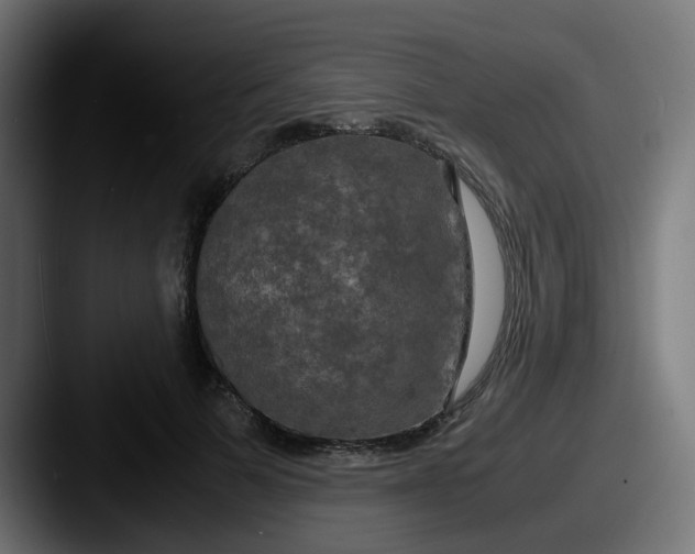 X0000087540697200705181049