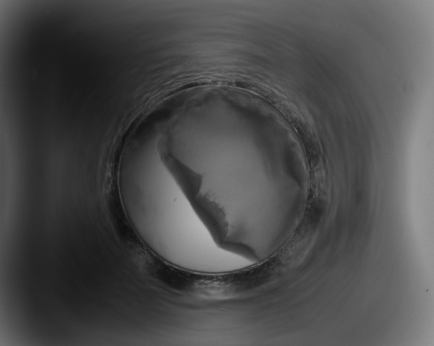 X0000087540699200705181049