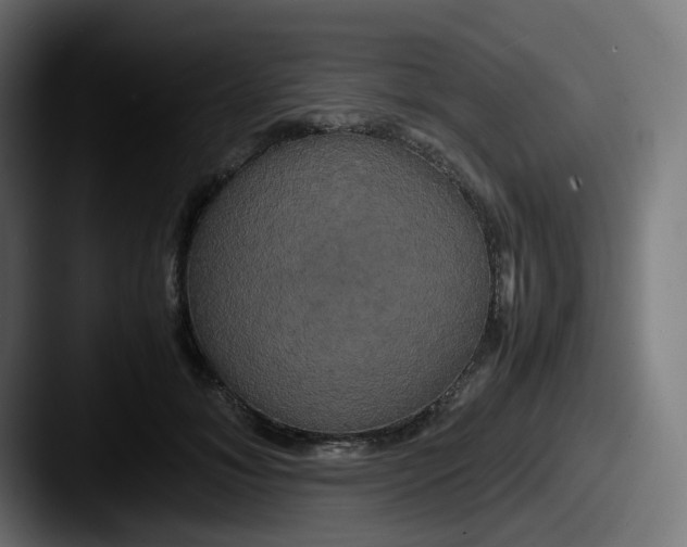 X0000087540700200705181049