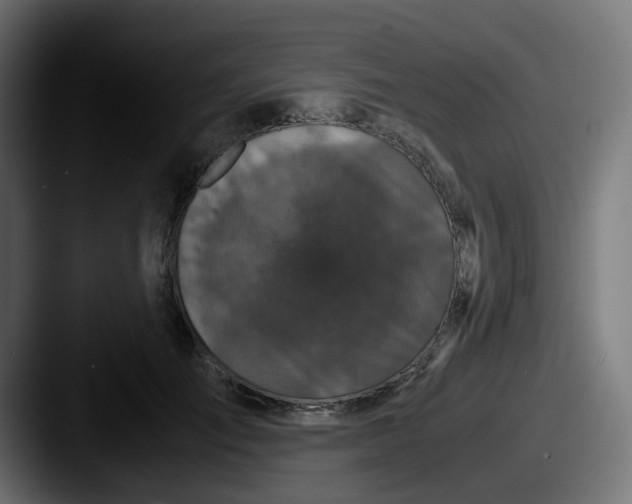 X0000087540701200705181049