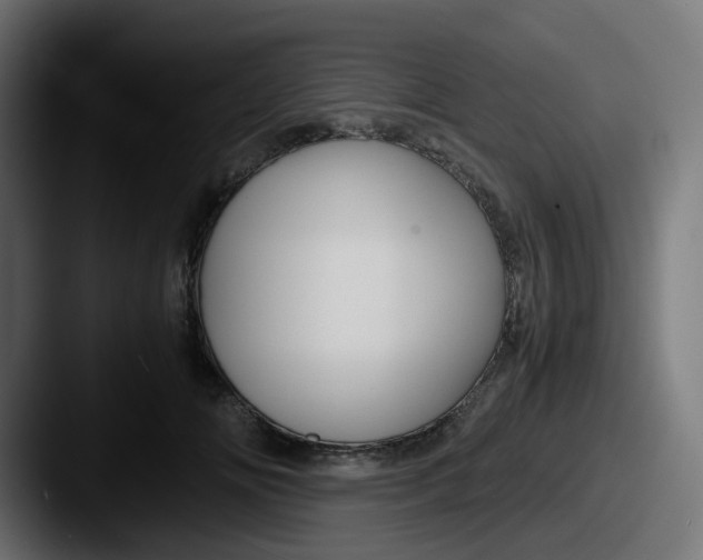 X0000087540702200705181049