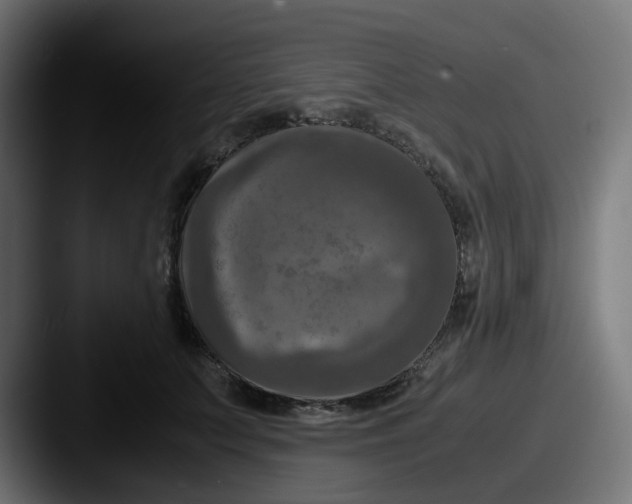 X0000087540703200705181049